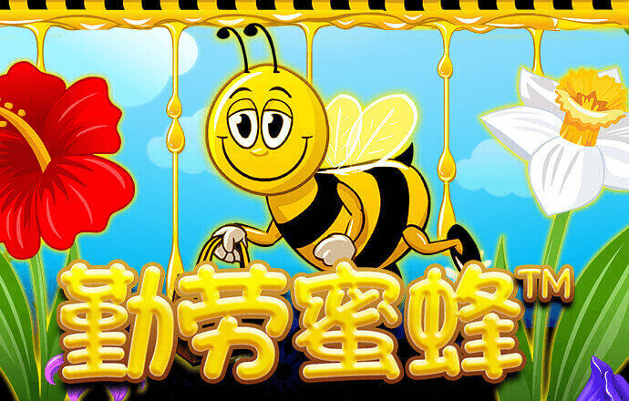星空无限传媒官网免费下载